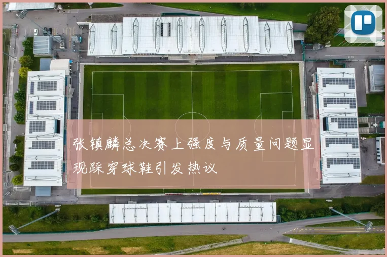 张镇麟总决赛上强度与质量问题显现踩穿球鞋引发热议