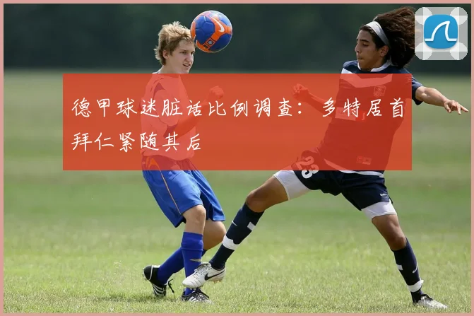 德甲球迷脏话比例调查：多特居首拜仁紧随其后