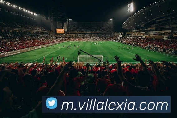 乐鱼手机官网入口leyu服务体系