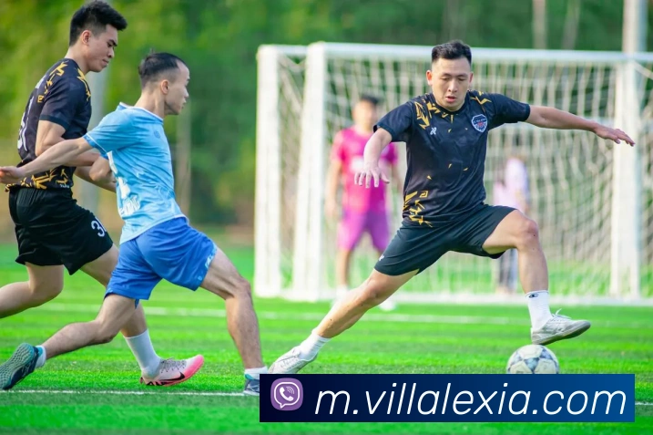 奖项证书